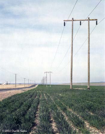 Field and Power Lines